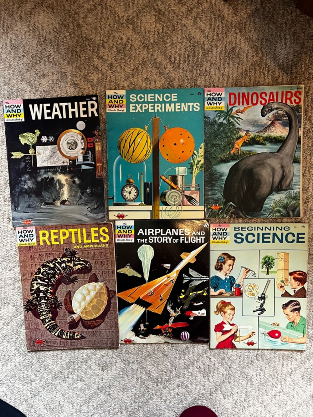 How and Why Book Lot - Weather, Science Experiments, Dinosaurs & More - 6 Books